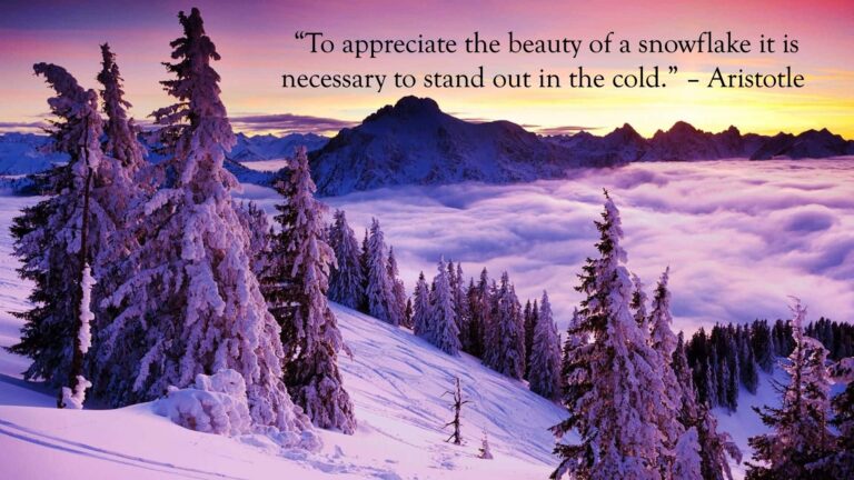 To appreciate the beauty of a snowflake it is necessary to stand out in the cold.” – Aristotle