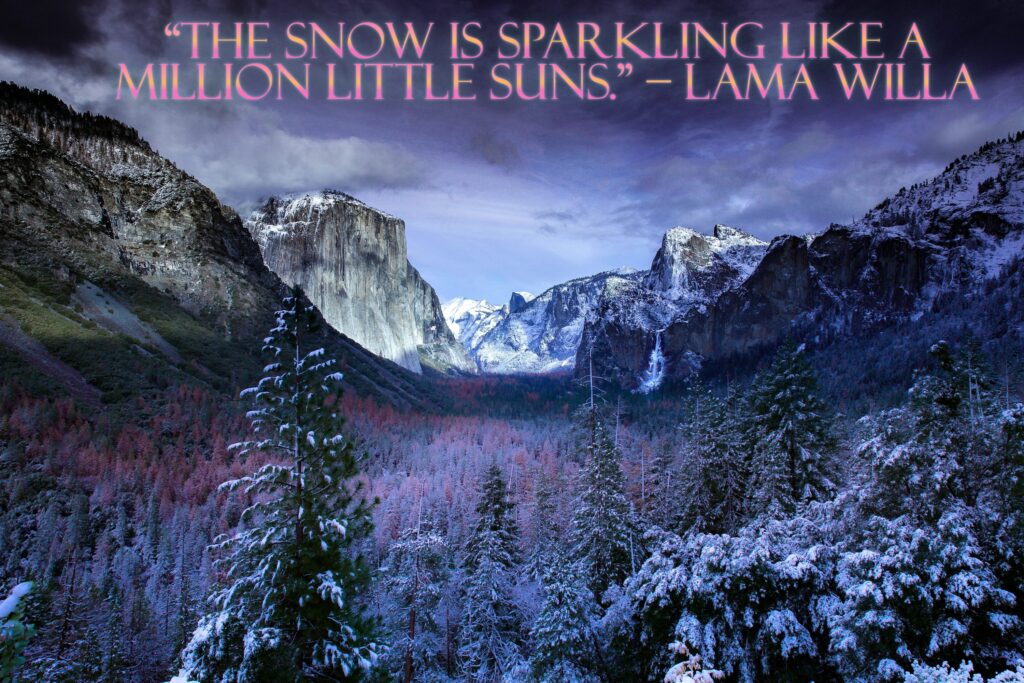 The snow is sparkling like a million little suns.” – Lama Willa