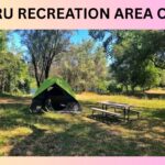Planning to go camping at Lake Piru? Get all the answers you need in this comprehensive guide, from finding a campsite to the best activities.